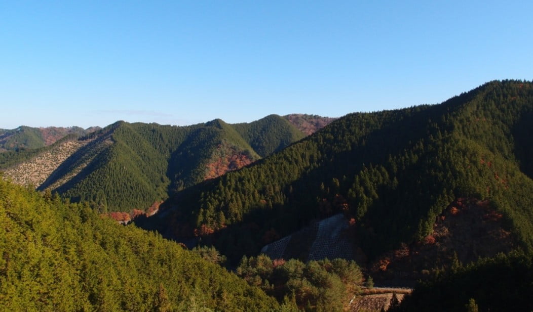 和歌山県・高野山（奥の院）平均天気予報（気象庁）「気温・降水確率」と季節の服装