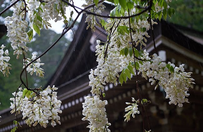 サイドバーでクエリ検索